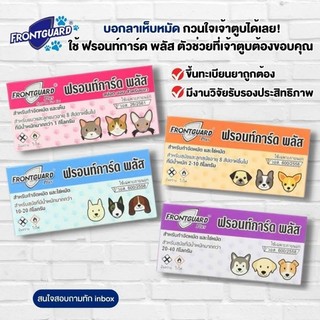 ถูกสุดๆ✅👏Frontguard Plus ฟรอนท์การ์ด พลัส ยาหยอดกำจัดเห็บ หมัด แมวและสุนัข 1 กล่อง(สั่งซื้อ100ขึ้นไป รวมทุกอย่างได้)