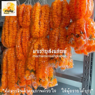 พวงมาลัยดาวเรืองดอกเล็ก (ดอกเล็ก) ความยาวทั้งเส้น