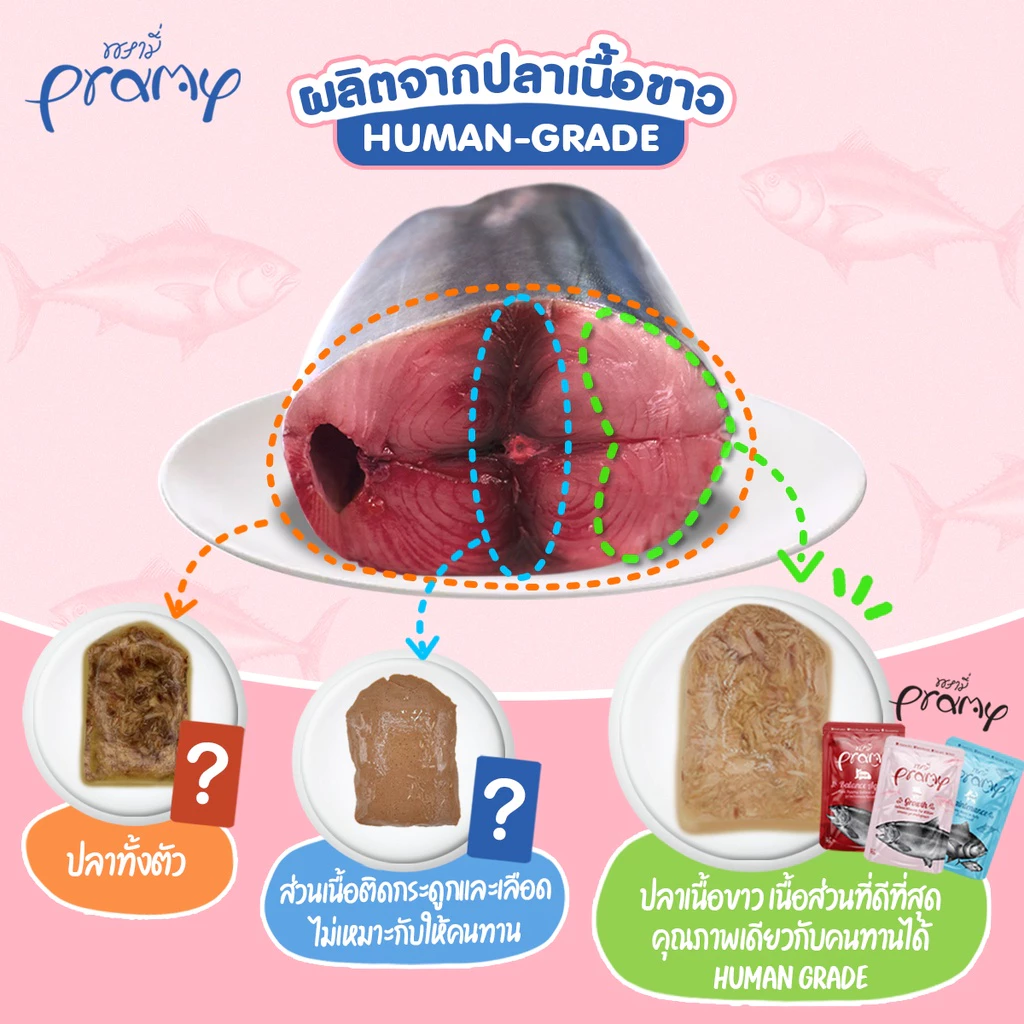 อาหารเปียกแมว PRAMY สูตร Functional ขนาด 70 กรัม 12 ซอง thumbnail 7