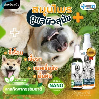 สเปรย์ Guard31 สำหรับสัตว์เลี้ยง ลดอาการคัน ยีสต์ ต้านเชื้อราแมวและสุนัข