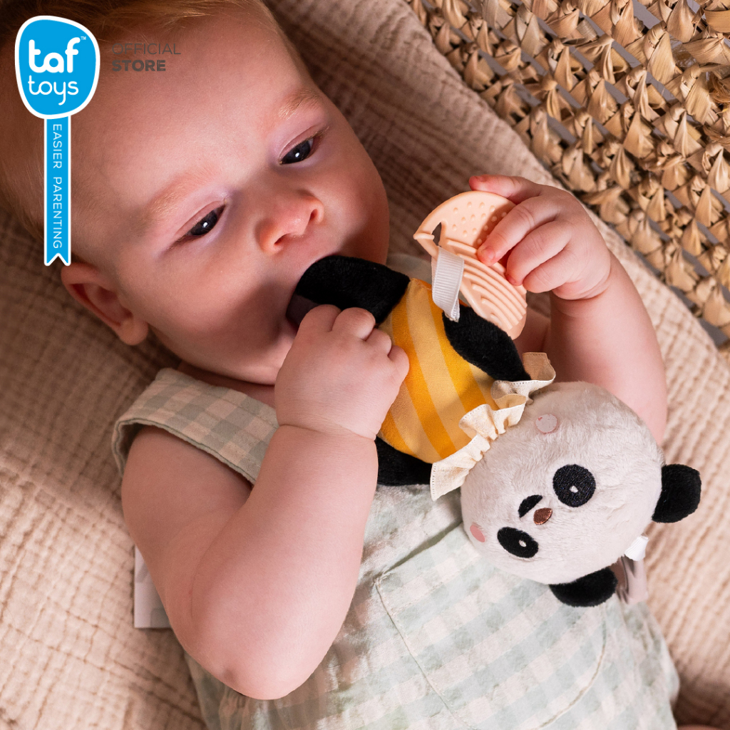 Taf Toys โมบายติด รถเข็นเด็ก คาร์ซีท Brendon/Pamela Activity Toy โมบายเด็ก ของเล่นเด็ก 0 เดือน รูปที่ 7