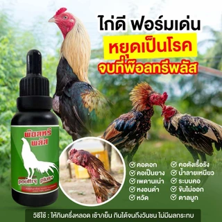 พ๊อตทรีพลัสคอดอกคอดังคอดังเรื้อรัง