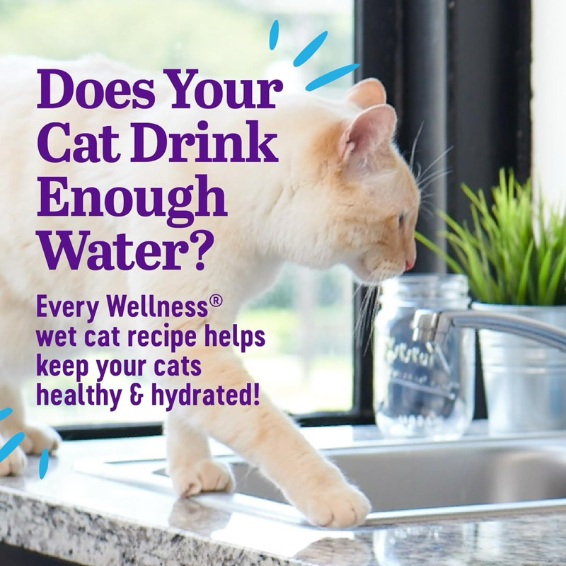 (พร้อมส่ง) อาหารเปียกแมว Wellness Appetizing Entrées ขนาด 40g - รูปที่ 7