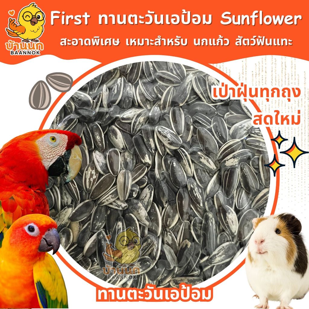 First ทานตะวัน เอป้อม 1KG Sunflower อาหารนก นกแก้ว กระต่าย กระรอก ชูก้า หนู แฮมสเตอร์ ตะเภา