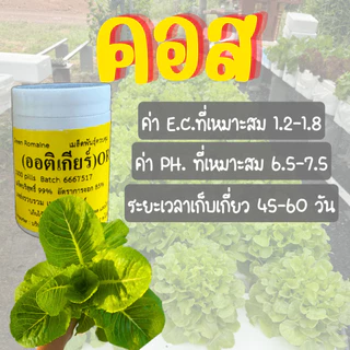 เมล็ดเคลือบ [1,000 เมล็ด] เมล็ดชนิดเคลือบผักสลัด ENZA ZADEN อัตราการงอกสูง