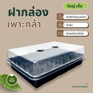 ฝาถาดไดโซะ ใช้กับถาดเพาะกล้า (เฉพาะฝา) | เพาะเมล็ด กระบองเพช…