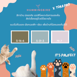 ผลิตโดยคนไทย ครีมซ่อมผนัง สีทาผนัง กันน้ำ ลูกกลิ้งทาสีผนัง ซ่อมแซมผนัง แห้งเร็ว ลูกกลิ้งลบรอยผนัง สีทาบ้าน พร้อมลูกกลิ้ง
