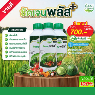 ชัดเจนพลัส+ 2 แถม 1อัตราใช้ 30cc ต่อน้ำ20 ลิตร พร้อมกรดอะมิโ…