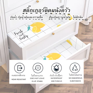 สติ๊กเกอร์กันน้ำมันกระเด็น สติ๊กเกอร์ติดผนัง สำหรับห้องครัว สามารถทำความสะอาดได้ รหัสDM