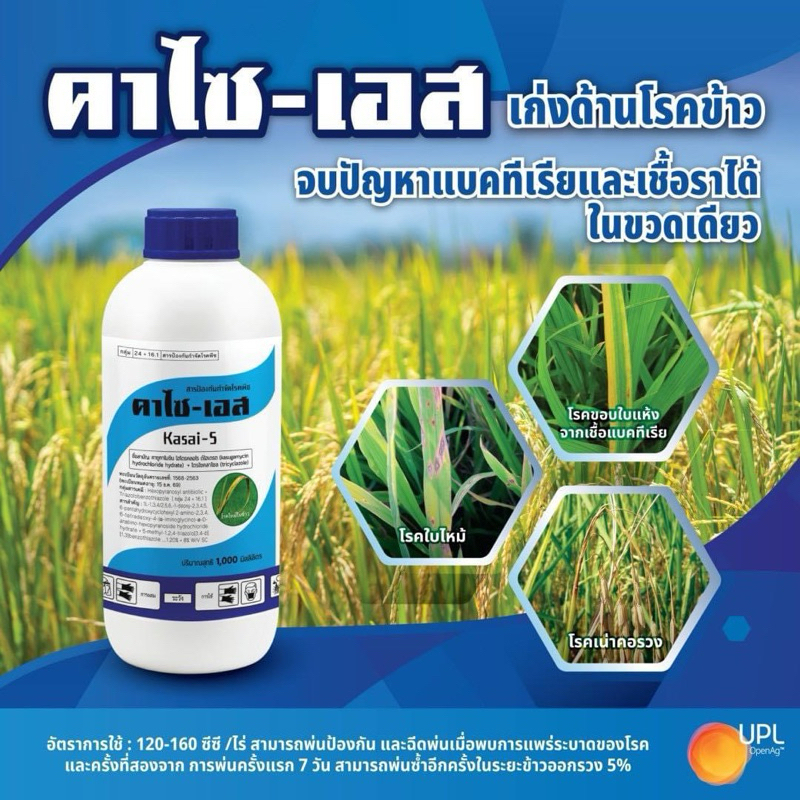 คาไซ-เอส ยกลัง ขนาด 1 ลิตรx10 ขวด กำจัดเชื้อราและแบคทีเรียชนิดดูดซึม โรคกาบใบแห้ง ใบใหม้ เน่าคอรวง - รูปที่ 2