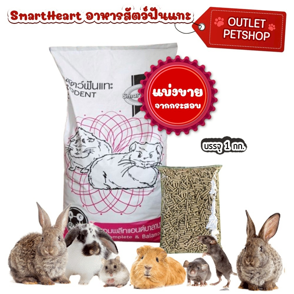 SmartHeart Rodent อาหารสำหรับสัตว์ฟันแทะ ช่วยให้ขนนุ่ม สวย เงางาม แบ่งขายตักจากกระสอบ 1kg.