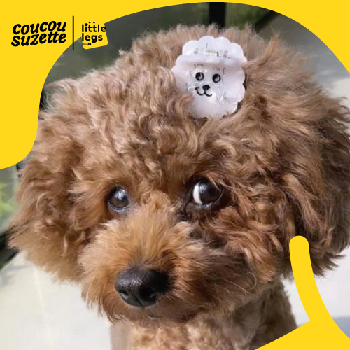 LLC กิ๊บหนีบผมมินิ กิ๊บสำหรับเด็ก Bichon Mini Hair Claw Coucou Suzette