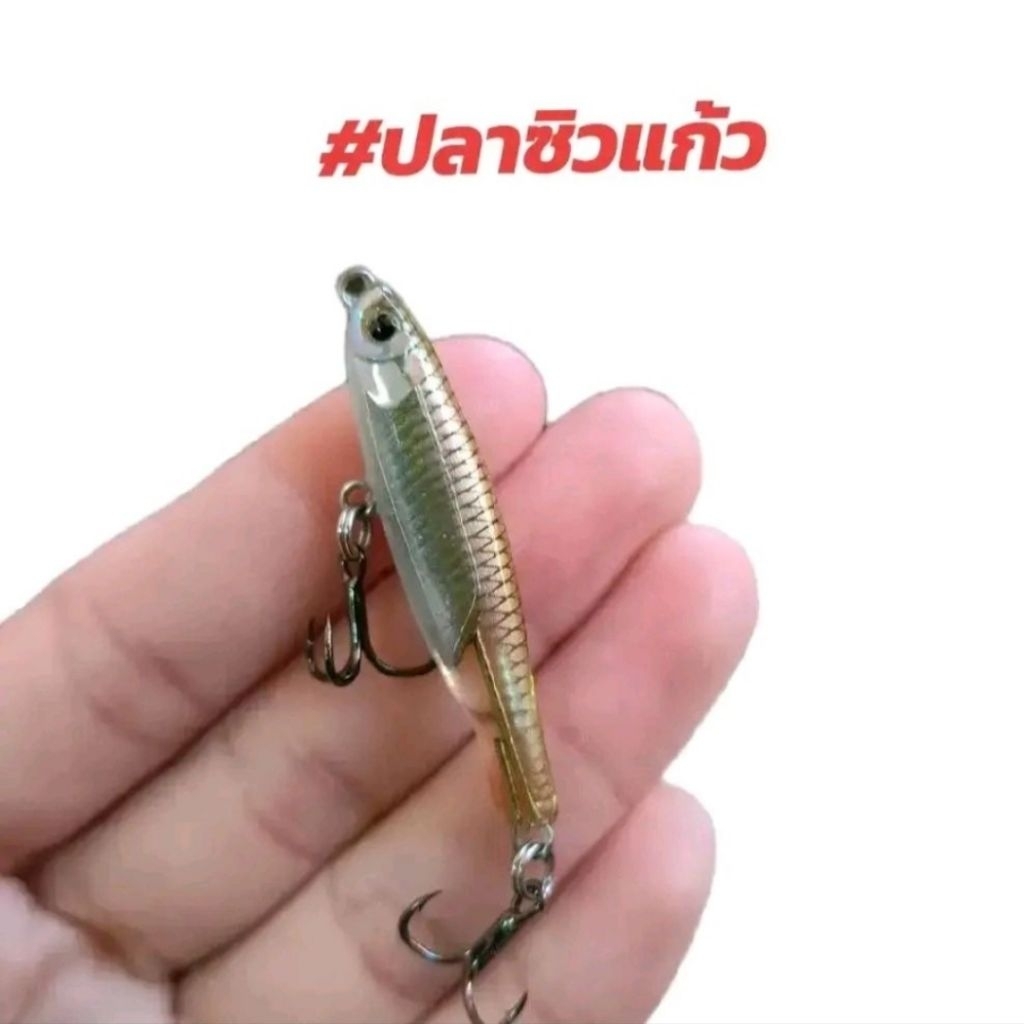 เหยื่อตกปลา ปลาซิวแก้ว  #ปลาซิวแก้ว