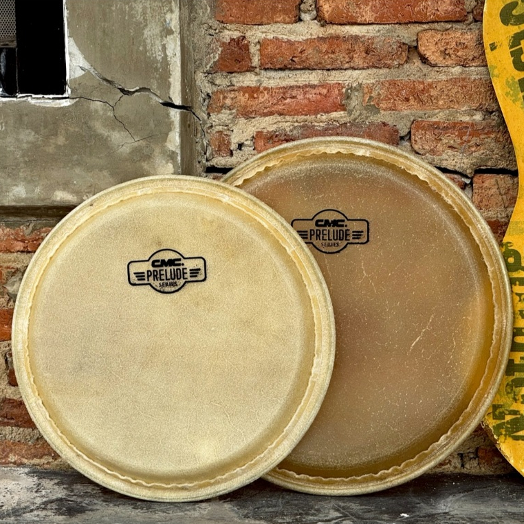 [ส่งจากไทย-📸] หนังทอมบ้า CMC / Future หนังกลองทอมบ้า ขนาด 10 นิ้ว / 11 นิ้ว หนังกลอง ทำจากวัสดุอย่างดี หนังกลองทอม - รูปที่ 5