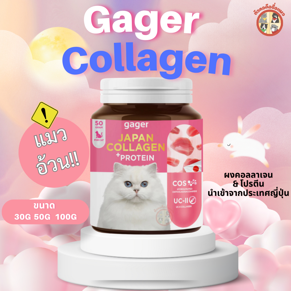 Gager (กาเจอร์) อาหารเสริมแมวอ้วน ผงคอลลาเจนแมว ผงคอลลาเจนแมวอ้วน ผงโปรตีนเสริมสร้างกล้ามเนื้อทำให้อ