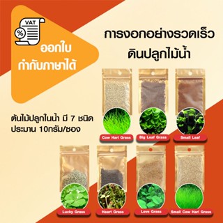 ดี.โอ. เมล็ดพันธ์ุไม้น้ำ ต้นไม้ปลูกน้ำ ปลูกในตู้ อ่างปลา บ่อ…