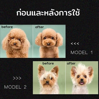 🐶 6/9 ชิ้น กรรไกรตัดขนสุนัข แบตตาเลี่ยนตัดขนส กรรไกรตัดขนแมว ตัดขนหมา ตัดขนสุนัข ตัดขนแมว กรรไกร สุนัข กรรไกรแมว