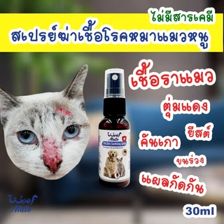 (มี2ขนาด) สเปรย์ WoofMate บรรเทาอาการเชื้อรา ยีสต์ เรื้อน ลดอักเสบ คันเกา แผลถูกกัด แผลติดเชื้อ แผลกดทับ แผลเรื้อรัง