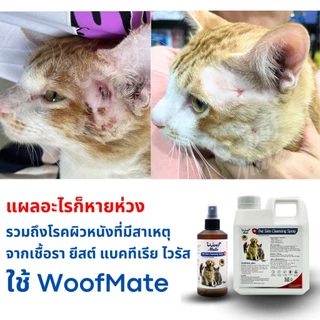 (มี2ขนาด) สเปรย์ WoofMate บรรเทาอาการเชื้อรา ยีสต์ เรื้อน ลดอักเสบ คันเกา แผลถูกกัด แผลติดเชื้อ แผลกดทับ แผลเรื้อรัง
