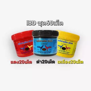 ชุดเลี้ยงไก่ชนIBD อาหารนก ครบชุดอุปกรณ์สัตว์เลี้ยง