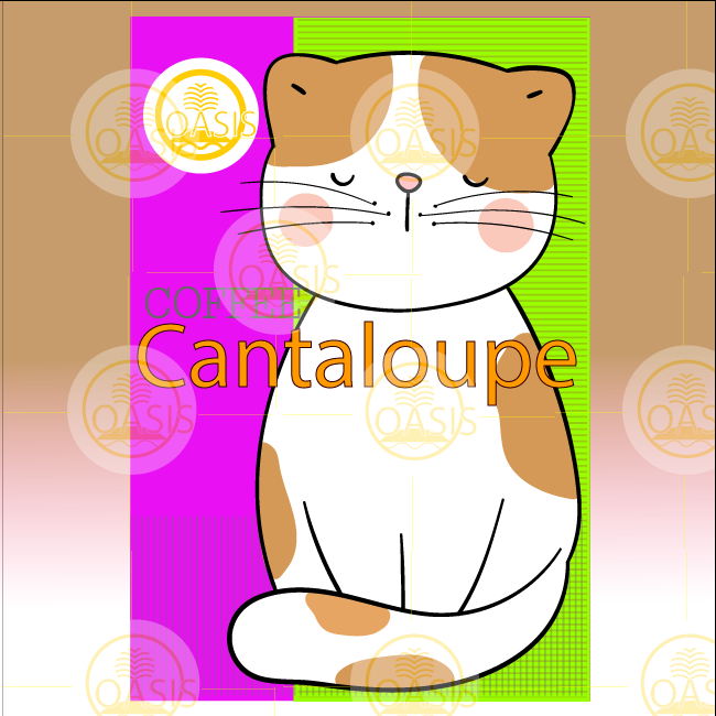 Oasis Coffee&Roaster Columbia Cantaloupe Omni Roasted