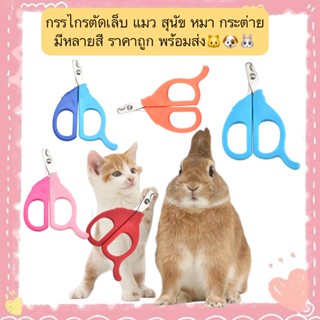MG-662 กรรไกรตัดเล็บสำหรับแมว สุนัข หมา กระต่าย มีหลายสี ราค…
