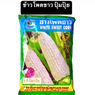 สิงโต เมล็ด ข้าวโพด ขาวปุ้มปุ้ย,เทียนดำ,ข้าวโพดเทียนม่วง-ขาว,เทียน3สี,เทียนเหลือง,เทียนขาว,แปดแถว,สวีท (1 กิโลกรัม)