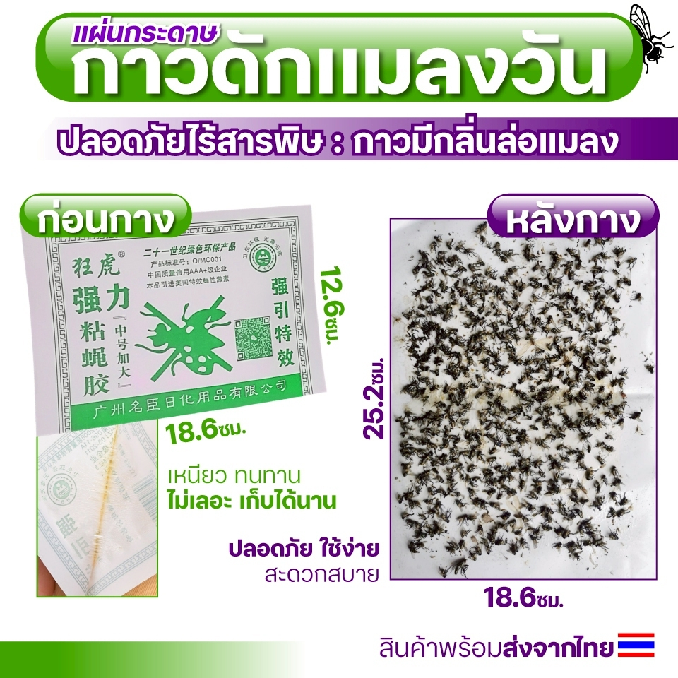 แผ่นกาวดักแมลงวัน กาวดักแมลงวัน เป็นแบบกระดาษ มัดละ 20/ 50/ 100แผ่น สินค้าพร้อมส่งจากไทย ไม่ต้องรอนาน #ID-0145