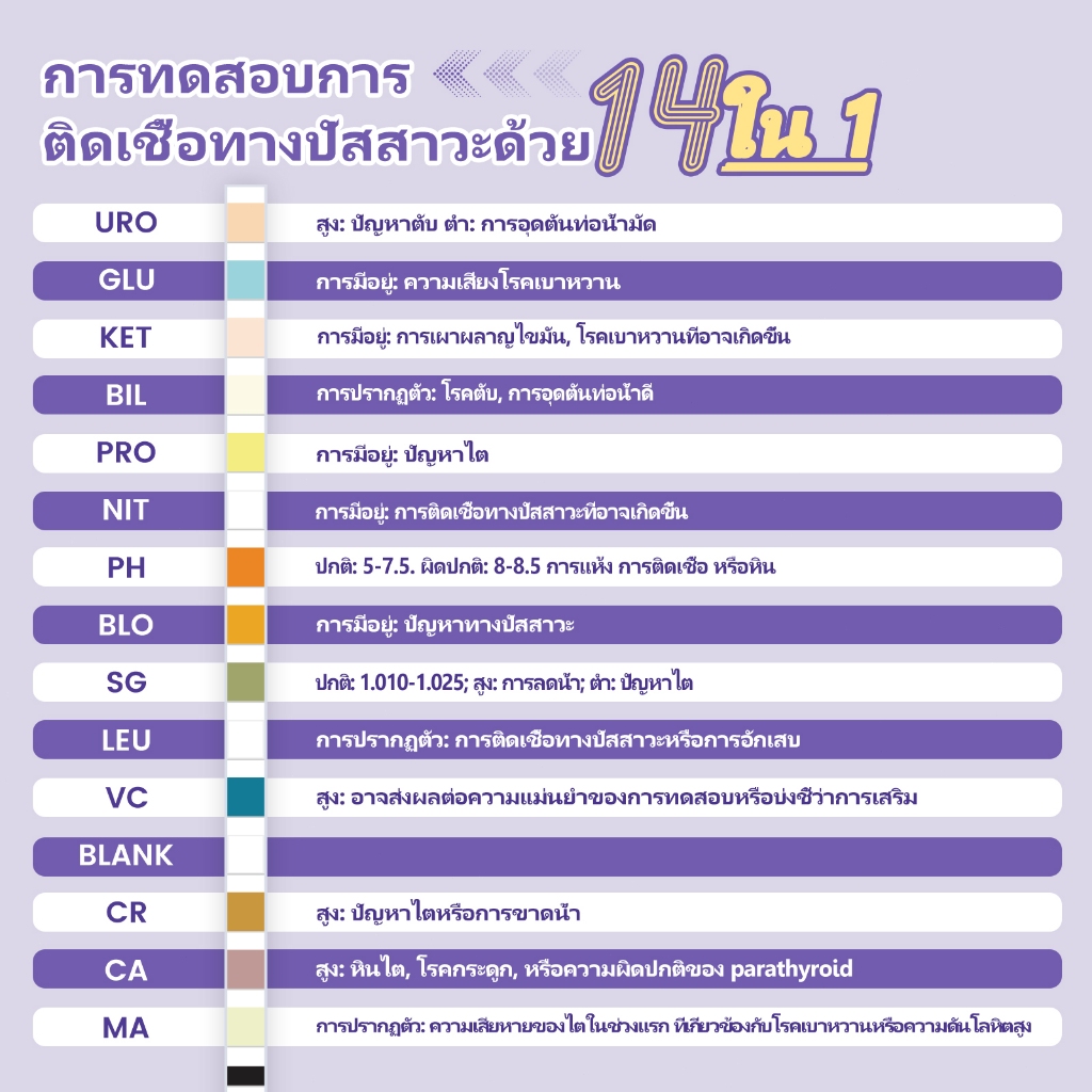 ACCUFAST แถบทดสอบปัสสาวะ | Urine Test Strips 20 ชิ้น | ตรวจเชื้อทางเดินปัสสาวะ | 14 รายการทดสอบ | ส่งด่วนฟรี - รูปที่ 2