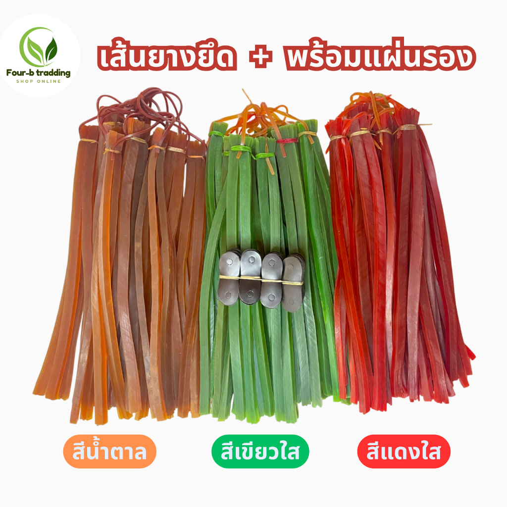 ยางยืดพร้อมแผ่นรอง (แบ่งขาย 2 / 10 /20 เส้น ) ยางอเนกประสงค์แถมฟรีแผ่นรอง