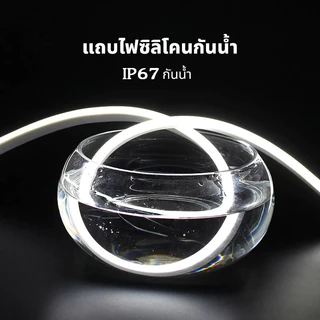 ไฟแถบนีออน Neon Flex LED ดัดงอได้ ยาว3/15/30ม สีสวยกันน้ำแรงดัน 220V เหมาะแก่การตกแต่งบ้าน ต่อปลั๊กให้พร้อมใช้งาน