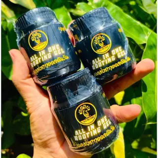 เจลเร่งราก ฮอร์โมนเร่งรากแบบเจล ขนาด 120 ml. ออลอินวัน