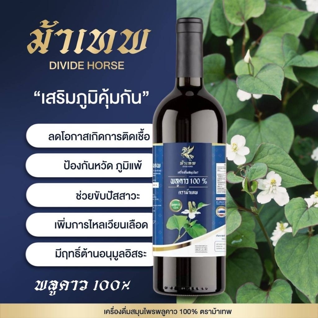 น้ำพลูคาว ตราม้าเทพ (คาวตอง100%)(โค้ชส่งฟรี)B1