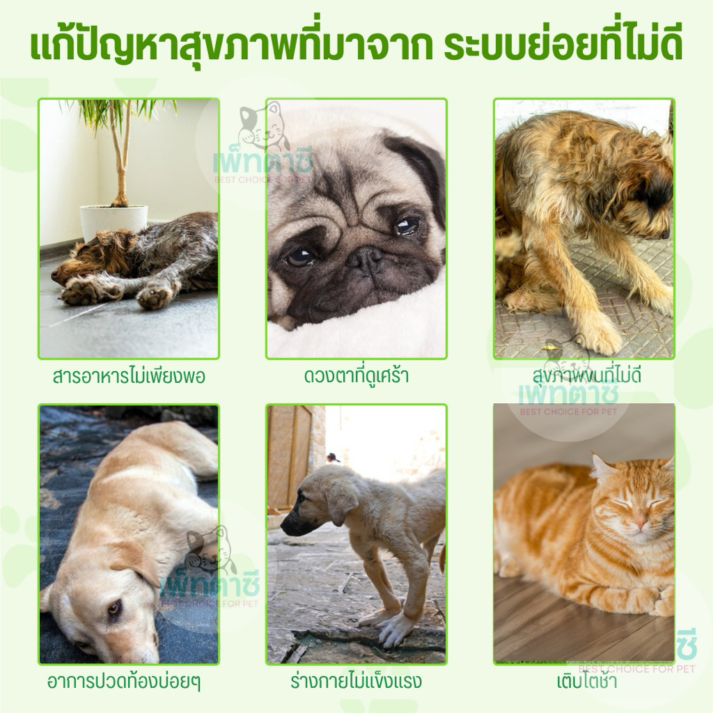 รูปภาพ 3
