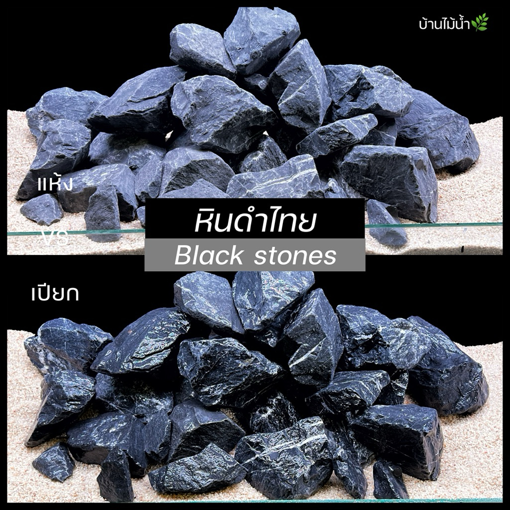 หินดำ Black Stone หินสีดำ หินตกแต่งตู้ไม้น้ำ หินตกแต่งตู้ปลา หินจัดสวน ตู้ปลา ตู้ไม้น้ำ เทอร์ราเรียม | บ้านไม้น้ำ🌿