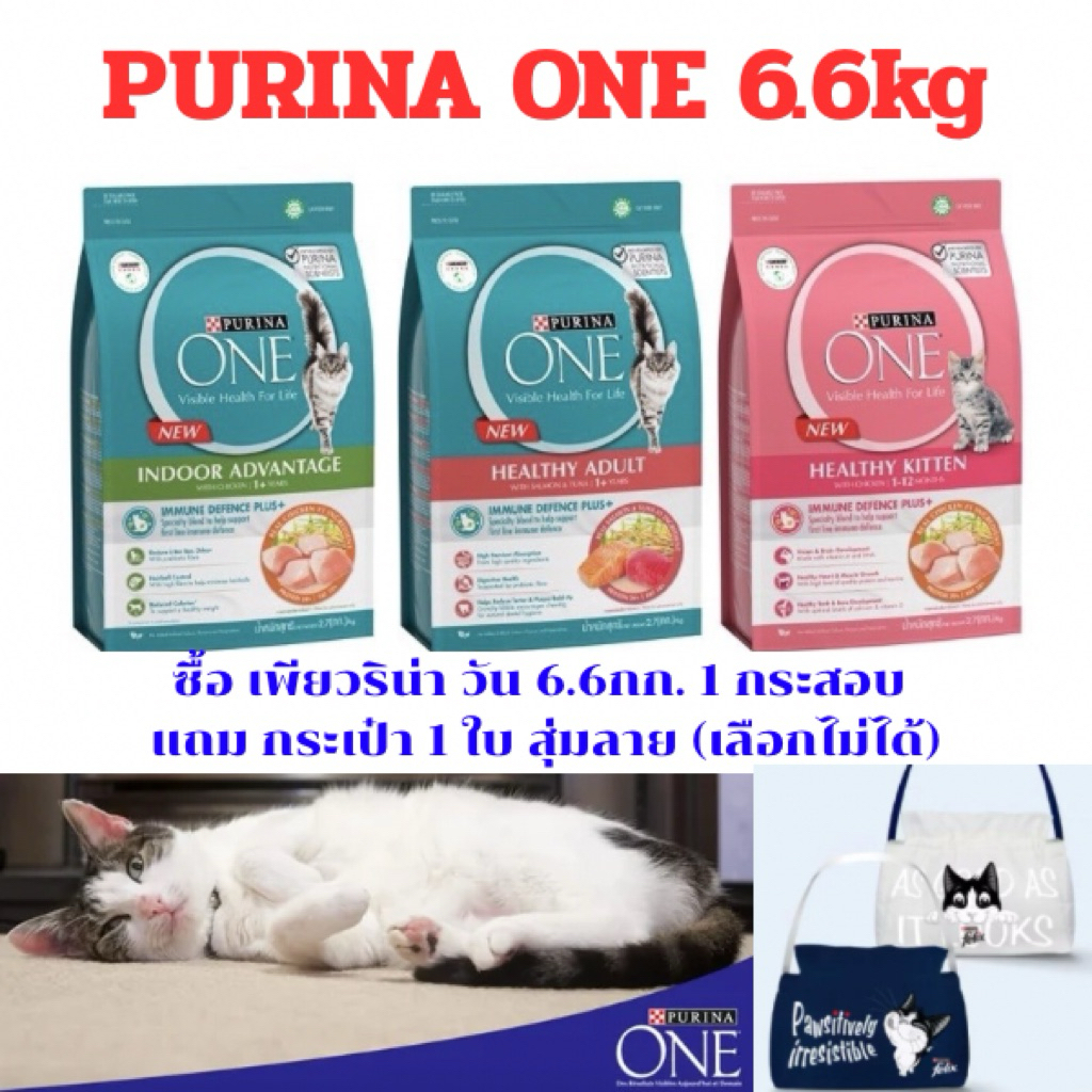 [แถมกระเป๋า] PURINA ONE เพียวริน่า วัน อาหารแมว ชนิดเม็ด ขนาด 6.6kg