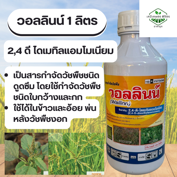 วอลลินน์ 2,4ดี-ไดเมทิลแอมโมเนียม ใช้สำหรับวัชพืชใบกว้าง ขนาด 1 ลิตร ในนาข้าว ข้าวโพด อ้อย