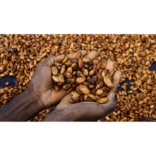 ANNIE - Cote D'Ivoire (Cocoa 100%) Fat 25%