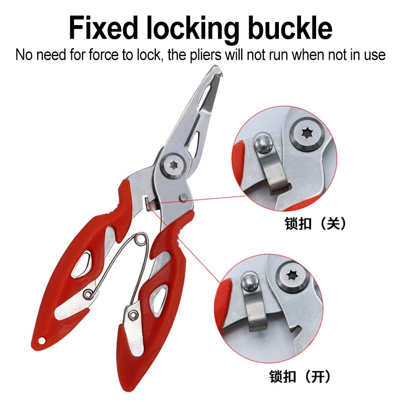 รูปภาพ 7