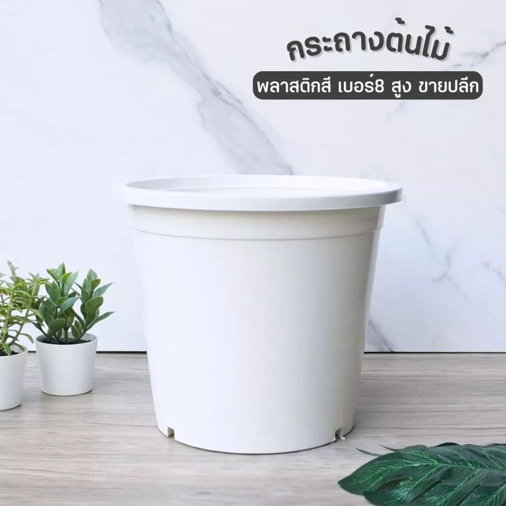 กระถางต้นไม้พลาสติก สีขาว เบอร์8 ทรงสูง ขายปลีก
