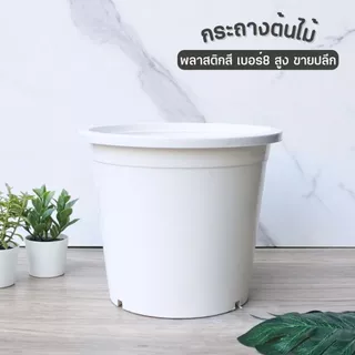กระถางต้นไม้พลาสติก สีขาว เบอร์8 ทรงสูง ขายปลีก