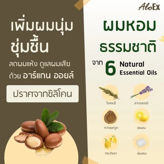 AloEx Everyday Organic Shampoo กลิ่น Floral Sunshine แชมพูสมุนไพรออร์แกนิก ลดผมร่วง ผมนุ่ม ไร้ซัลเฟต