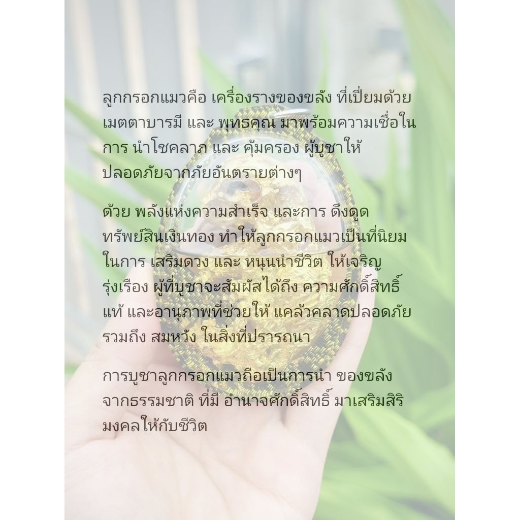 ลูกกรอกแมว: ของแท้หายาก พารวย พาดัง รวยไม่จน ราคาต่อชิ้น รูปที่ 2