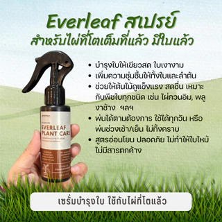 ปุ๋ยบำรุง สำหรับ ไผ่กวนอิม – บำรุง ครบทั้งราก ใบ และลำต้น