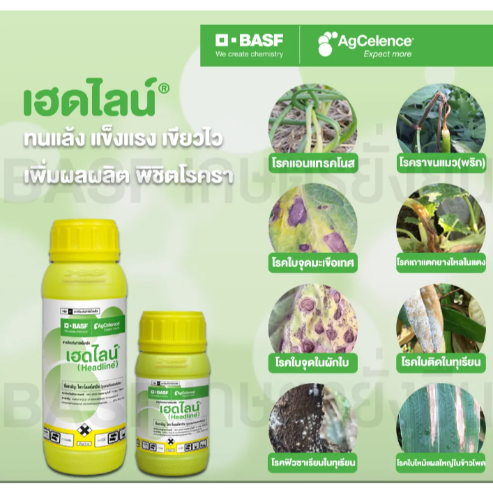 เฮดไลน์ สารป้องกันกำจัดโรคพืช กำจัดเชื้อรา ขนาด 500 มล. BASF