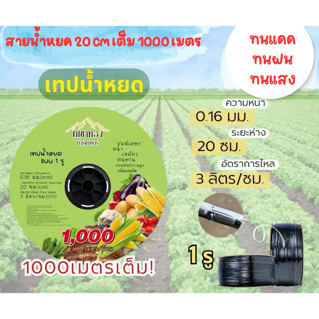 สายน้ำหยด 20 cm เต็ม 1000 เมตร สายส่งน้ำทางการเกษตร แบบมีกิ๊บ หนา 0.16 mm