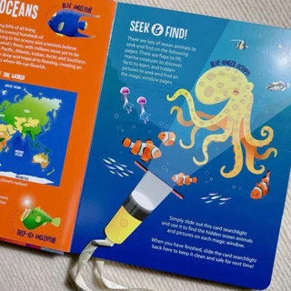 พร้อมส่ง Seek&Find Searchlight Sharks+Dinosaurs Board Book Activity