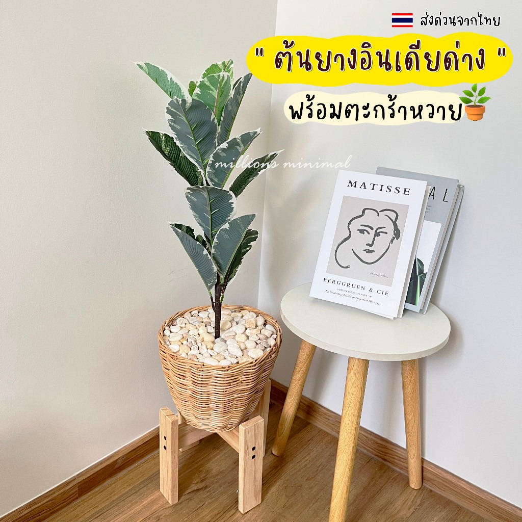 ต้นยางอินเดีย พร้อมตะกร้าหวาย ต้นไม้ปลอม เหมือนจริง  ((แถมฟรีหินโรย!!))