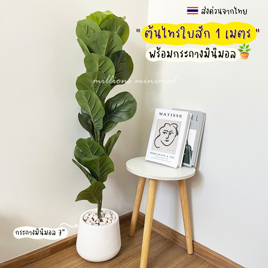ต้นไทรใบสัก สูง 1 เมตร ((ต้นประกอบแล้วพร้อมกระถาง)) พร้อมส่ง งานเหมือนจริง
