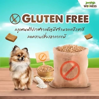 (เจอร์ไฮ วีเนส) Jerhigh WeNess ขนมสุนัขสูตรสุขภาพ วัตถุดิบธรรมชาตแท้100% ไม่เติมเกลือ/น้ำตาล 80-100g